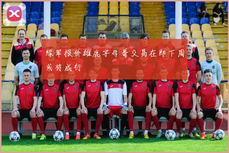 绿军报价雄鹿字母哥交易在即下周或将成行