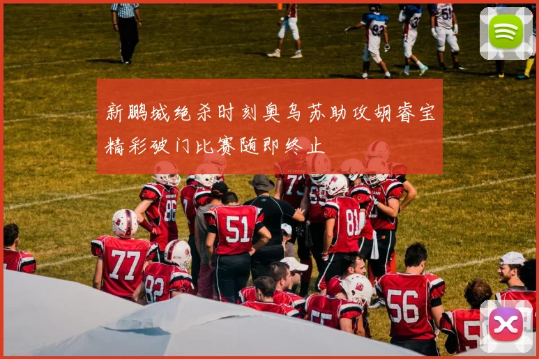 新鹏城绝杀时刻奥乌苏助攻胡睿宝精彩破门比赛随即终止