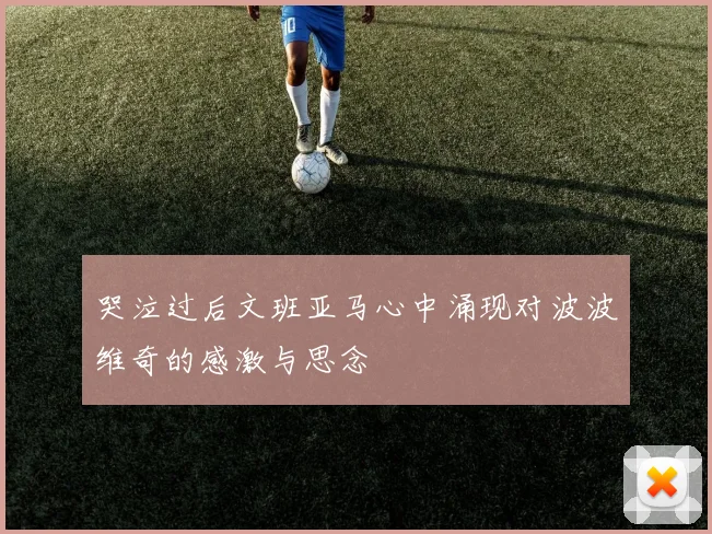 哭泣过后文班亚马心中涌现对波波维奇的感激与思念